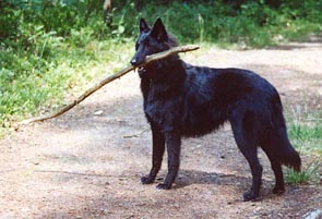 Juni 2001, 8 maanden oud.