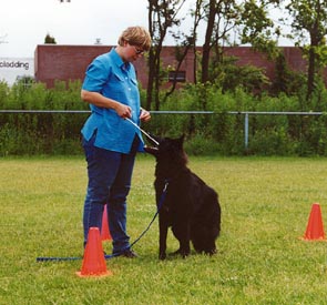 Desso met targetstick