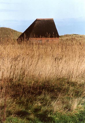 20011202schapenboet.jpg