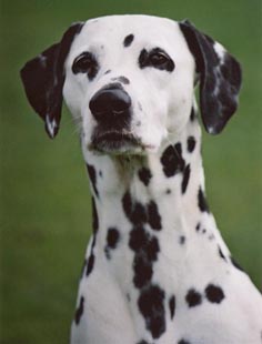 20020925sita.jpg