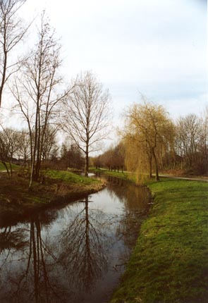 61-3bomenbijwater.jpg