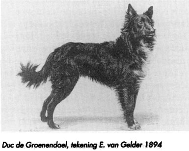 Duc de Groenendael